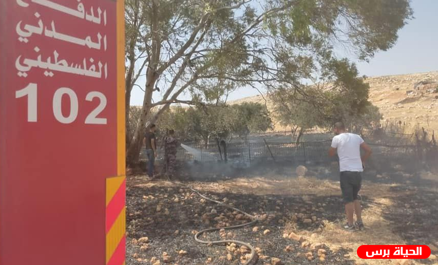 مستوطنون يحرقون دونمات زراعية في بورين 